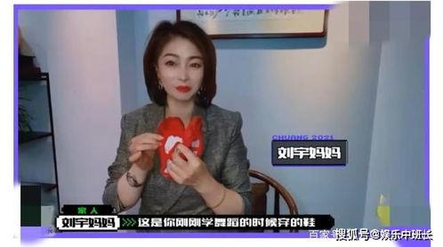 刘宇早期爆料视频播放下载,揭秘娱乐圈不为人知的幕后故事  第2张